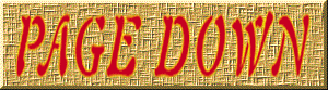 Banr04211.GIF (18595 ֽ)